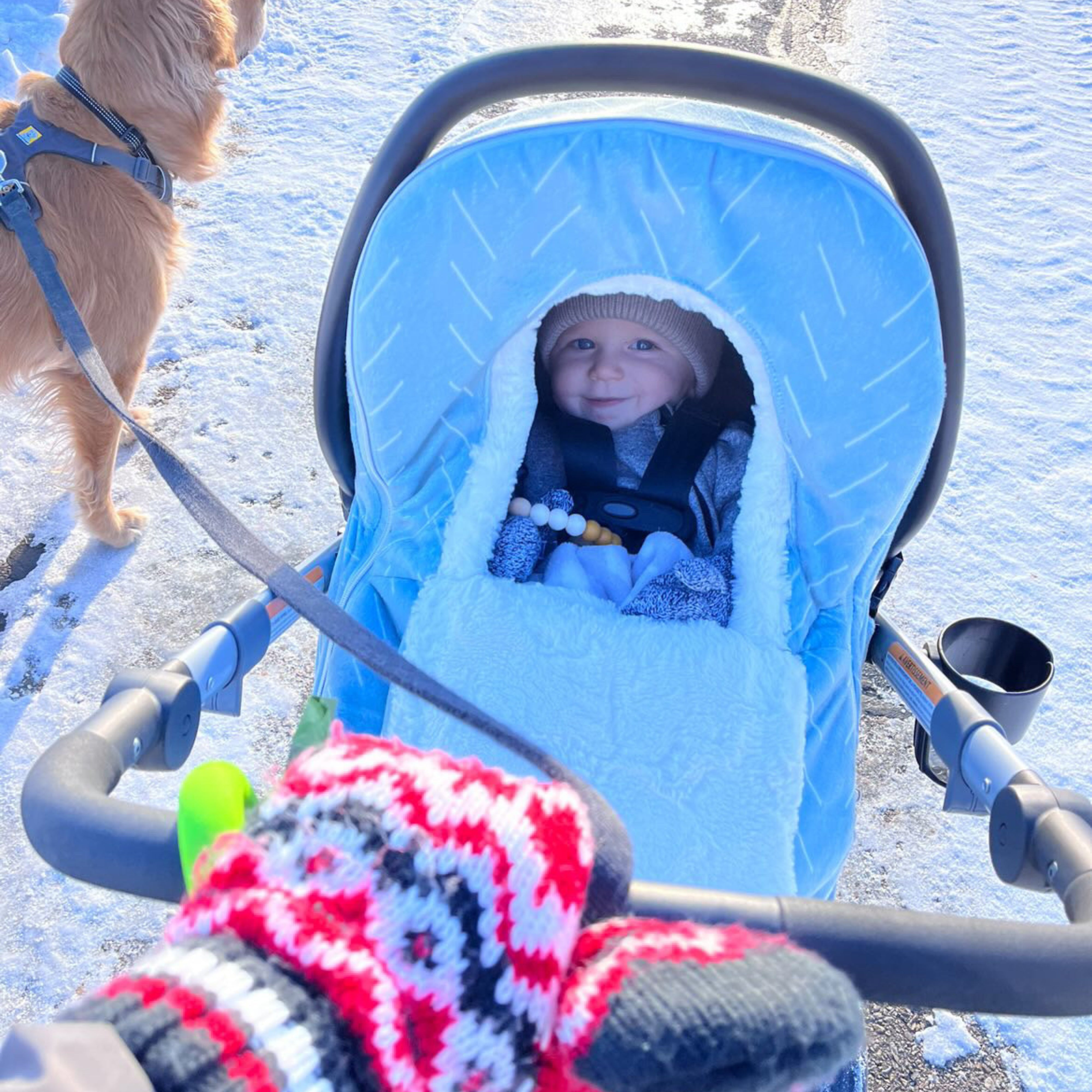 Winter Covers - Gliz Design
