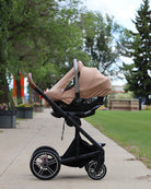 Summer Stretch GlizCover™ - Biscotti - Gliz Design