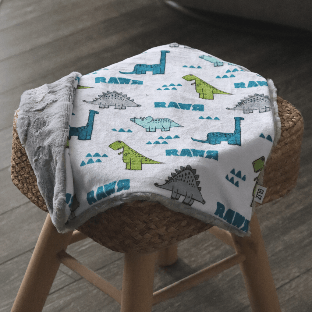 Blankets - Rawr - Gliz Design