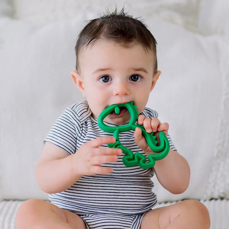 Chew Crew™ Silicone Baby Teethers - Gliz Design